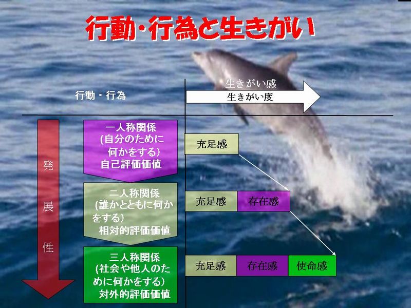 ���������̍s���E�s�ׁi�T�O�}�j�ł��B