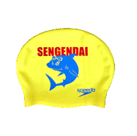 ��ԑ�}�X�^�[�Y�̃L���b�v�ł�